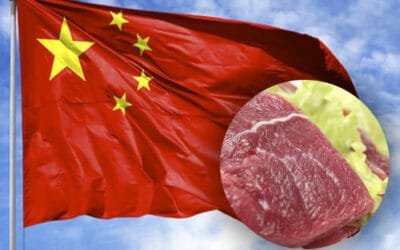 Vamos por cuotas con los chinos