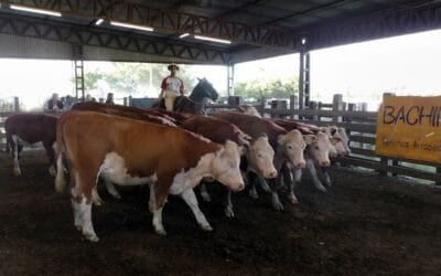 Buen cierre de año en el local Ortíz.
