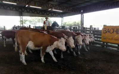 Buen cierre de año en el local Ortíz.