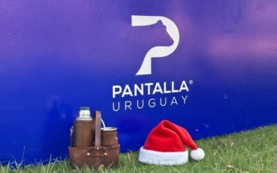 El remate 305 de Pantalla Uruguay será el 18 de diciembre, desde las 09.00 horas.