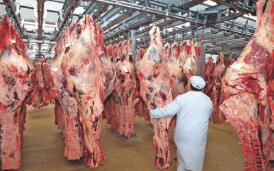 China impone cuotas a sus principales clientes