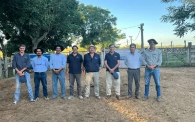 La reposición tuvo precios al alza en Ansina, con Valdez.