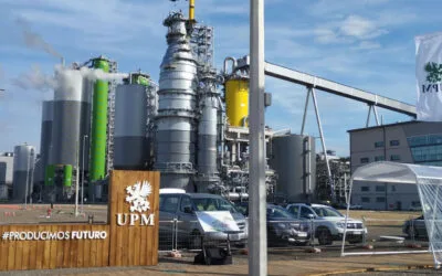 El gobierno analiza permitir que UPM incremente  su producción en 200.000 toneladas
