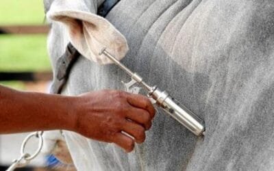 Presidente paraguayo interviene en la discusión por la aftosa y prioriza previsibilidad sanitaria