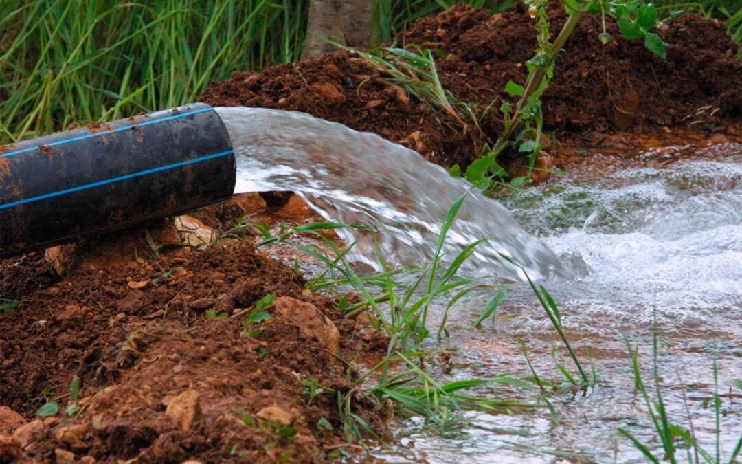 Buscando soluciones a largo de plazo