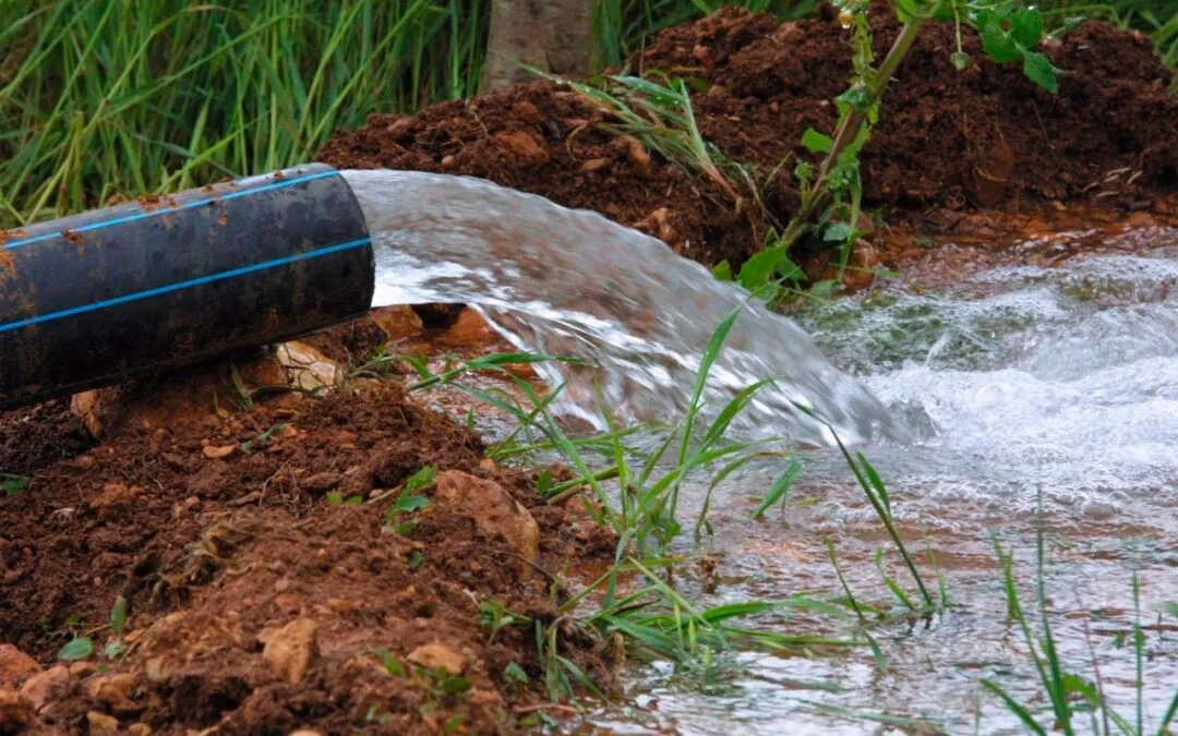 Buscando soluciones a largo de plazo