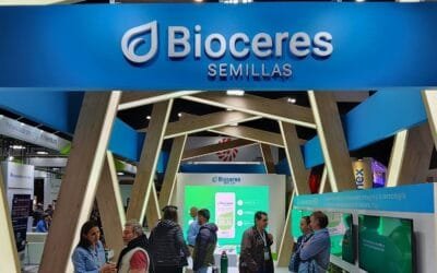 El colapso de un gigante del agro en Argentina: Bioceres se presentó en convocatoria de acreedores por una deuda mega millonaria