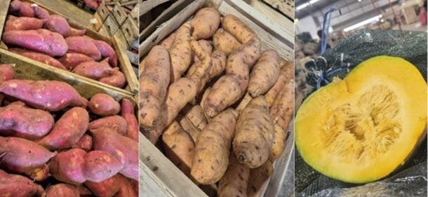 Bajas en los precios de boniatos y zapallos.