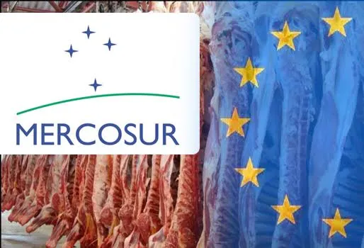 La carne y el acuerdo Mercosur- Unión Europea