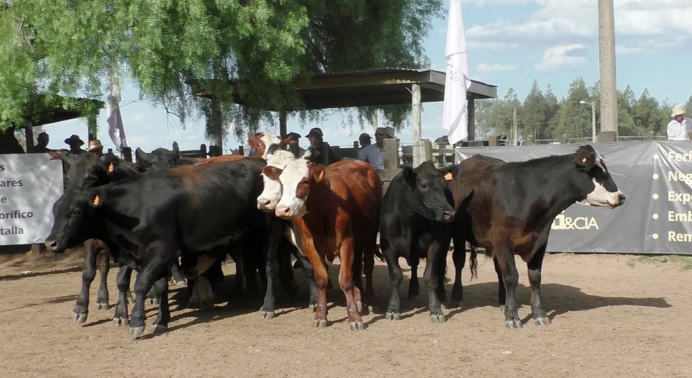 Caliente como la tarde, la pista de Cuchilla de Silvera.