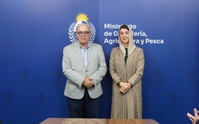 Visita árabe oficial