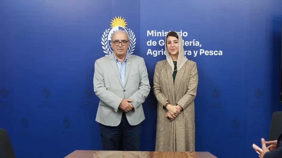 Visita árabe oficial