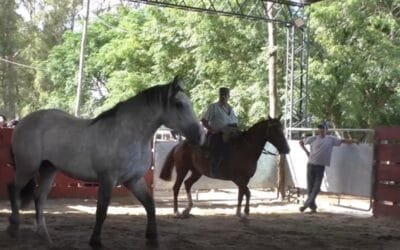 Conformidad general en la especial de yeguarizos de Cañada Bellaca.