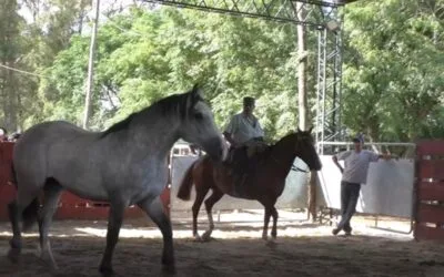 Conformidad general en la especial de yeguarizos de Cañada Bellaca.