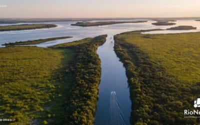 Mas hectáreas protegidas