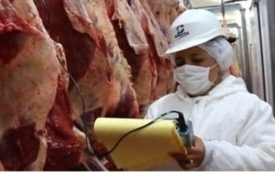 La sanidad animal es un pilar estratégico de la ganadería paraguaya.