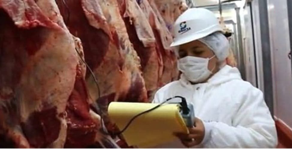 La sanidad animal es un pilar estratégico de la ganadería paraguaya.