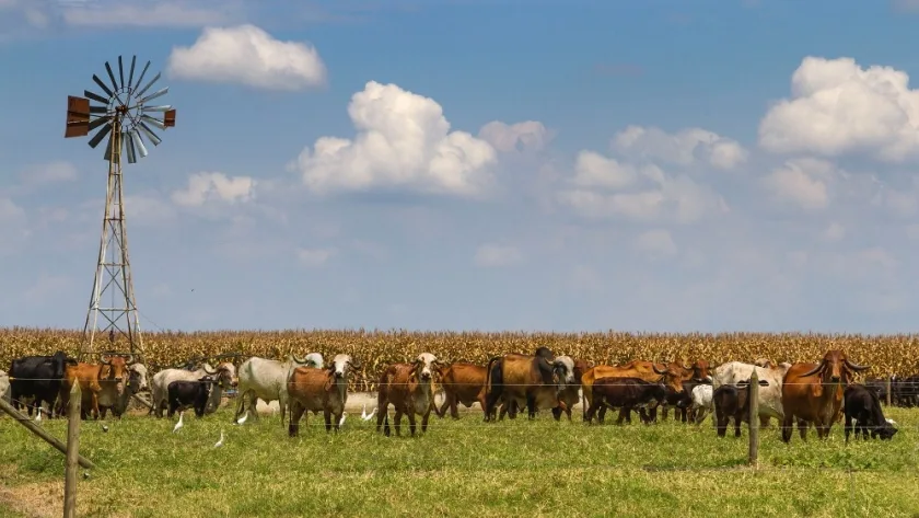 La base esta para el crecimiento en Argentina