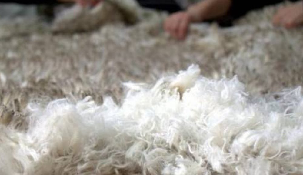 En Argentina, nueva categoría facilita exportación de lana sucia desde establecimientos rurales.
