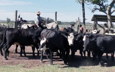 Agilidad y valores del momento en Los Amigos.