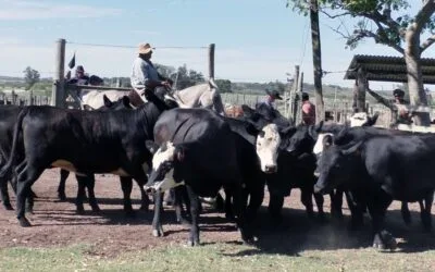 Agilidad y valores del momento en Los Amigos.