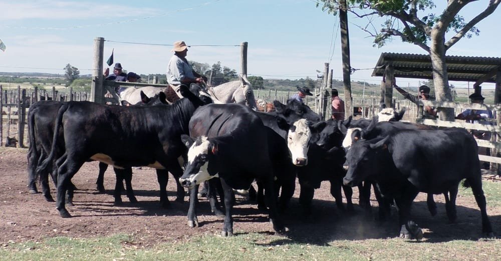 Agilidad y valores del momento en Los Amigos.