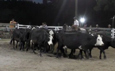 La pista del Campero, con Montero & Fernández, se prendió fuego.
