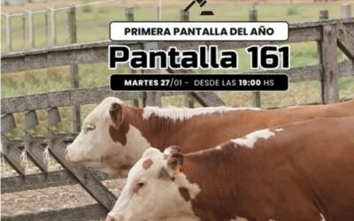 Hoy, Waldemar G Carbajal rematará desde las 19.00 horas.