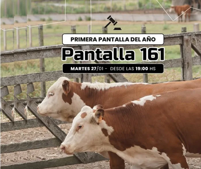 Hoy, Waldemar G Carbajal rematará desde las 19.00 horas.