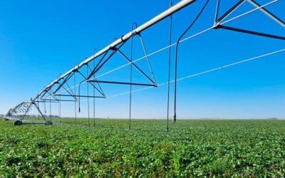 Ing. Baroffio: “Es posible” llegar a 300.000 hectáreas con riego.