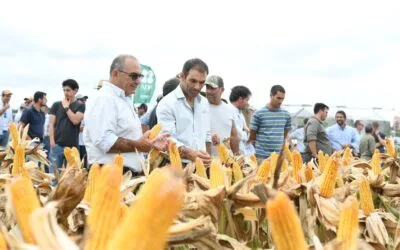 ADP-Agronegocios del Plata renueva su evento de actualización de cultivos de verano