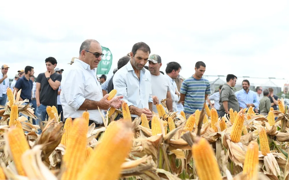 ADP-Agronegocios del Plata renueva su evento de actualización de cultivos de verano