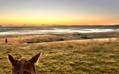 Uruguay nació sobre el campo natural, y no es una metáfora: INAC.