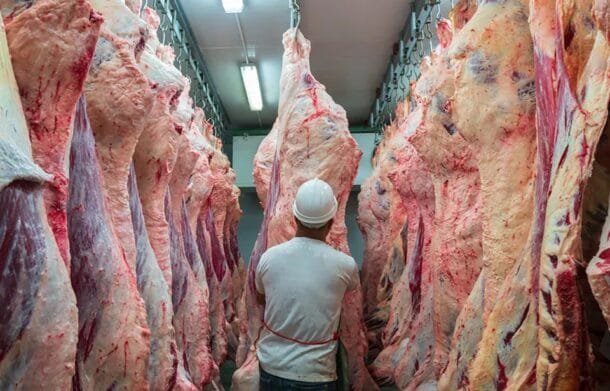 En Europa detectan importación de carne de vacuno desde Brasil con estradiol.