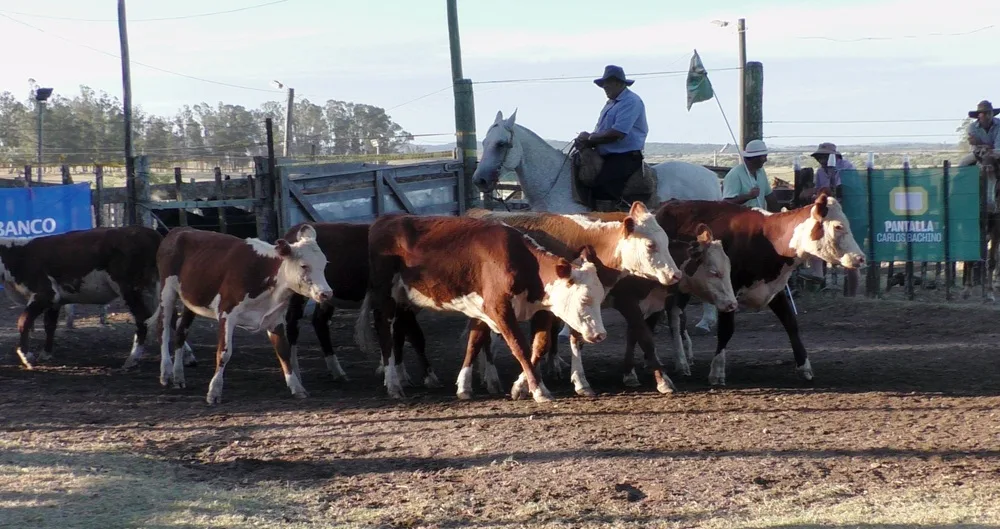 Con agilidad en “Los Amigos” se dispersó surtida oferta