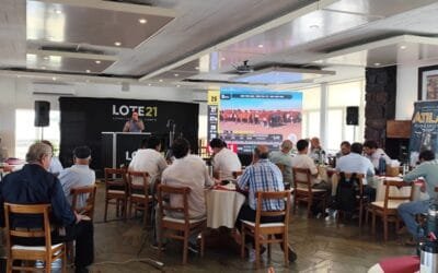 Lote 21 vendió el 98% de la oferta con varias categorías al alza.