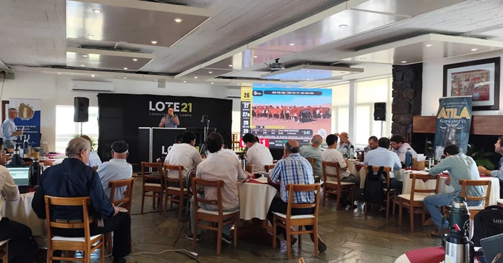 Lote 21 vendió el 98% de la oferta con varias categorías al alza.