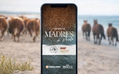Madres de Punta, en remate de Hereford en Agro en Punta.