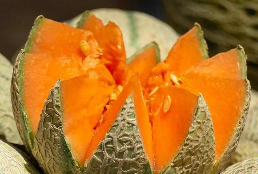 Crece la oferta de melones.