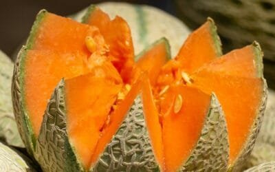 Crece la oferta de melones.