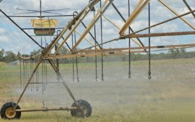 Jornada sobre riego en pasturas: resultados que justifican la inversión.