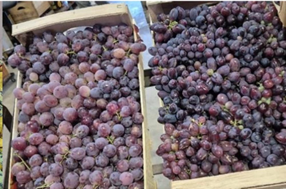 Crece la oferta de frutas de estación.