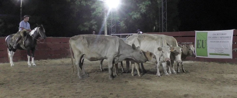 Pista ágil, buenos valores y colocaciones totales en Cañada Bellaca.