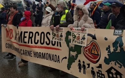 En España dicen que con el acuerdo con el Mercosur las carnicerías venderán carne “hormonada”.