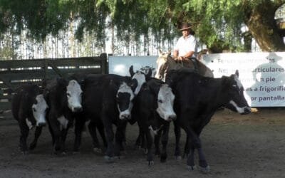 Ágil la pista, y destacados los promedios en Cuchilla de Silvera.