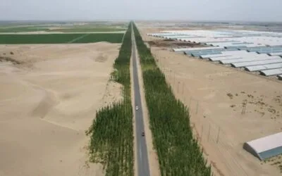 China trabaja en convertir arena del desierto de Kubuqi en suelo fértil.