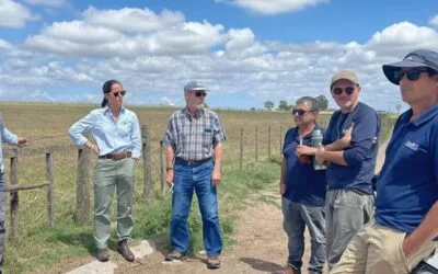 Especialista en riego: “Uruguay puede duplicar los rendimientos de maíz y soja”.