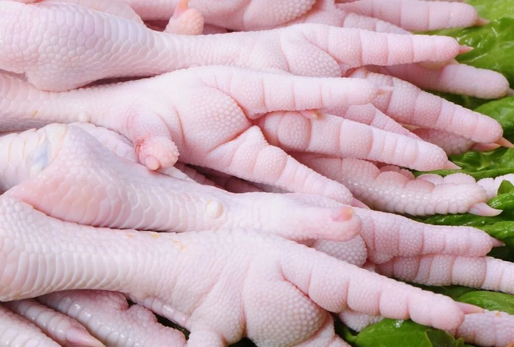 Avicultura: Uruguay comienza a abrirse espacio en mercados exigentes.