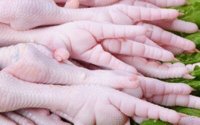 Avicultura: Uruguay comienza a abrirse espacio en mercados exigentes.