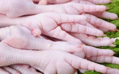 Avicultura: Uruguay comienza a abrirse espacio en mercados exigentes.